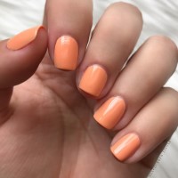 zoya nail polish and instagram gallery image 21