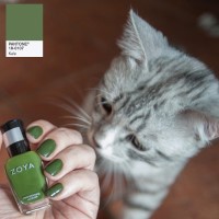 zoya nail polish and instagram gallery image 11