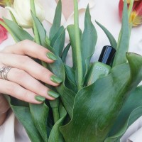 zoya nail polish and instagram gallery image 24 zoya nail polish and instagram gallery image 24