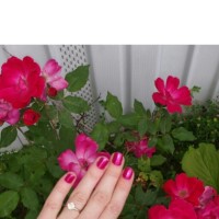 zoya nail polish and instagram gallery image 7 zoya nail polish and instagram gallery image 7