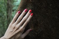 zoya nail polish and instagram gallery image 15 zoya nail polish and instagram gallery image 15
