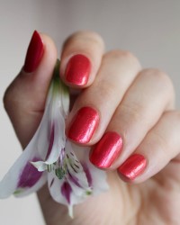zoya nail polish and instagram gallery image 7 zoya nail polish and instagram gallery image 7