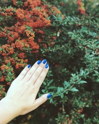 zoya nail polish and instagram gallery image 5 zoya nail polish and instagram gallery image 5