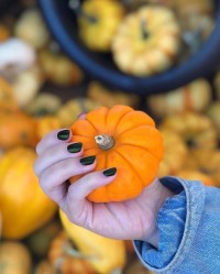 zoya nail polish and instagram gallery image 3 zoya nail polish and instagram gallery image 3