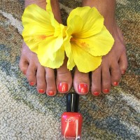 zoya nail polish and instagram gallery image 15 zoya nail polish and instagram gallery image 15