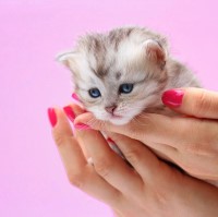 zoya nail polish and instagram gallery image 1 zoya nail polish and instagram gallery image 1