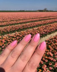 zoya nail polish and instagram gallery image 2 zoya nail polish and instagram gallery image 2